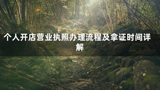 个人开店营业执照办理流程及拿证时间详解