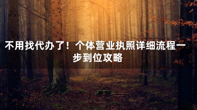 不用找代办了！个体营业执照详细流程一步到位攻略