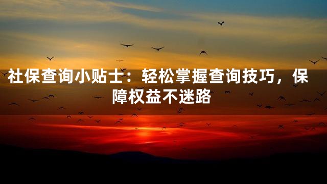 社保查询小贴士：轻松掌握查询技巧，保障权益不迷路