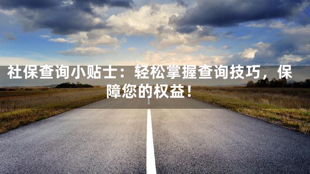 社保查询小贴士：轻松掌握查询技巧，保障您的权益！