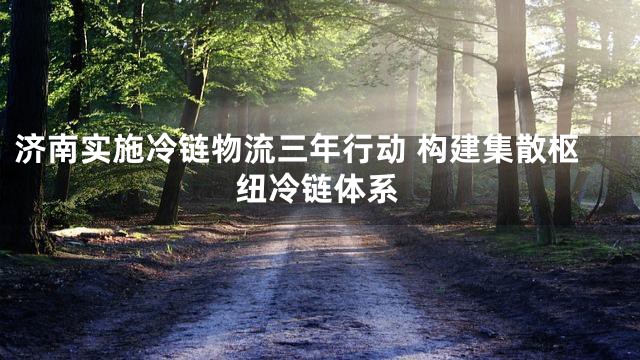 济南实施冷链物流三年行动 构建集散枢纽冷链体系