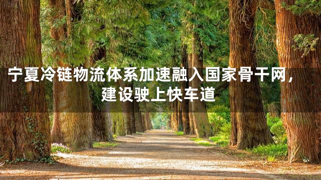 宁夏冷链物流体系加速融入国家骨干网，建设驶上快车道