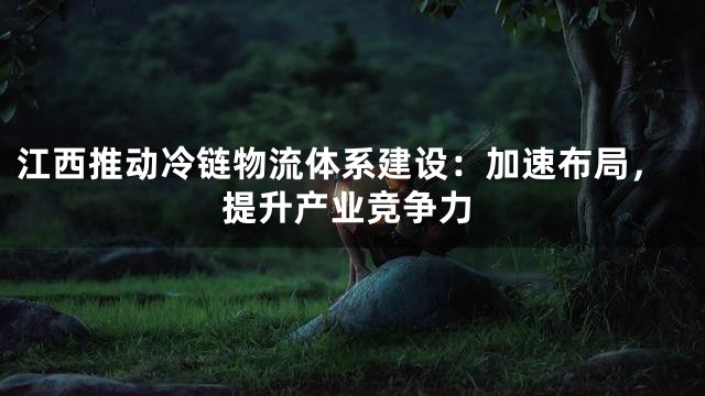 江西推动冷链物流体系建设：加速布局，提升产业竞争力