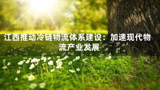 江西推动冷链物流体系建设：加速现代物流产业发展