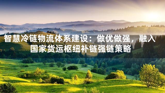 智慧冷链物流体系建设：做优做强，融入国家货运枢纽补链强链策略
