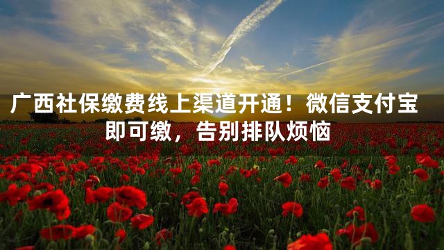 广西社保缴费线上渠道开通！微信支付宝即可缴，告别排队烦恼