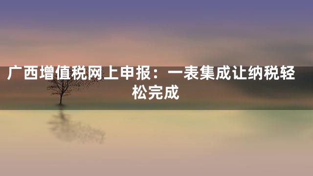 广西增值税网上申报：一表集成让纳税轻松完成