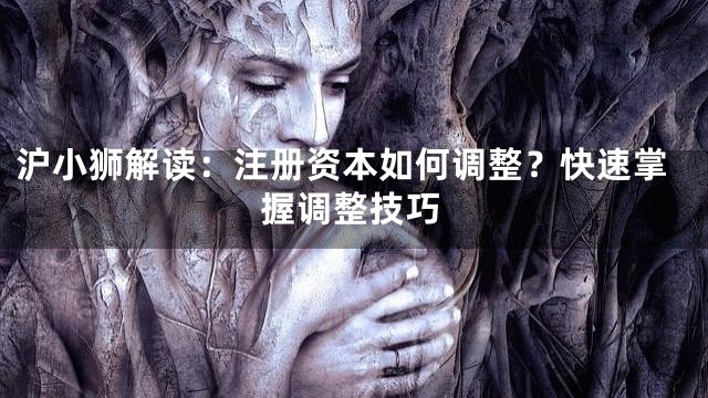 沪小狮解读：注册资本如何调整？快速掌握调整技巧
