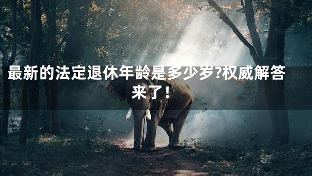最新的法定退休年龄是多少岁?权威解答来了！