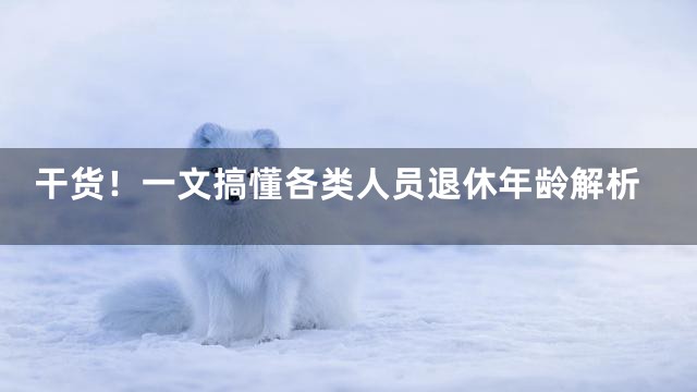 干货！一文搞懂各类人员退休年龄解析