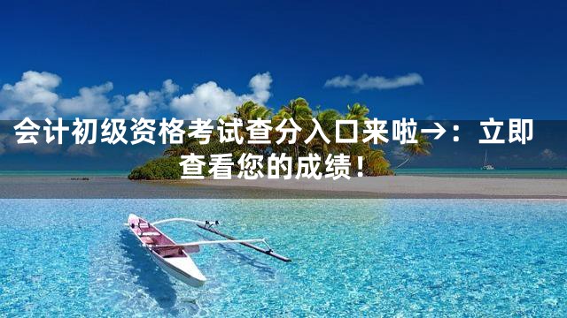 会计初级资格考试查分入口来啦→：立即查看您的成绩！