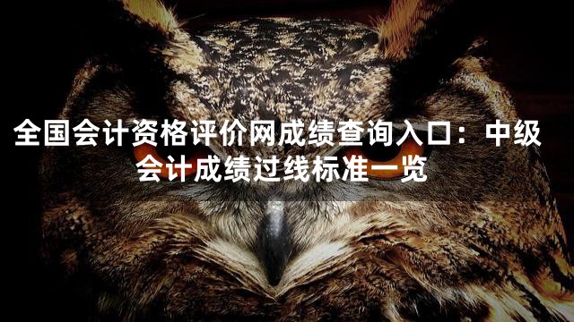 全国会计资格评价网成绩查询入口：中级会计成绩过线标准一览