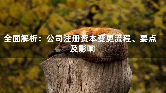 全面解析：公司注册资本变更流程、要点及影响
