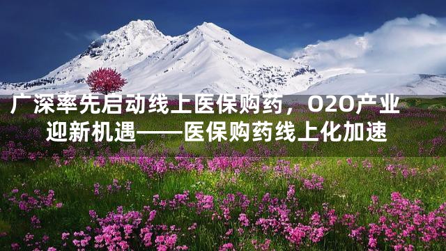 广深率先启动线上医保购药，O2O产业迎新机遇——医保购药线上化加速