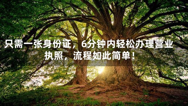 只需一张身份证，6分钟内轻松办理营业执照，流程如此简单！
