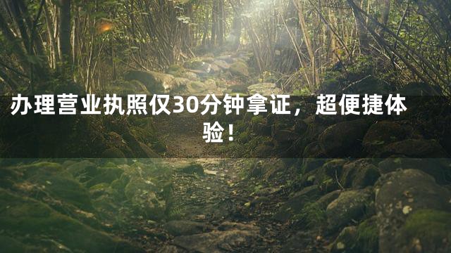 办理营业执照仅30分钟拿证，超便捷体验！