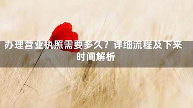办理营业执照需要多久？详细流程及下来时间解析