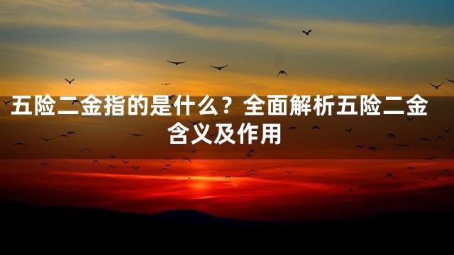 五险二金指的是什么？全面解析五险二金含义及作用