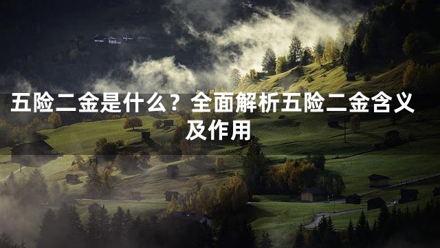 五险二金是什么？全面解析五险二金含义及作用