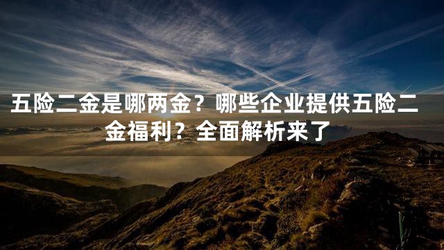 五险二金是哪两金？哪些企业提供五险二金福利？全面解析来了