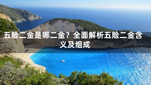 五险二金是哪二金？全面解析五险二金含义及组成