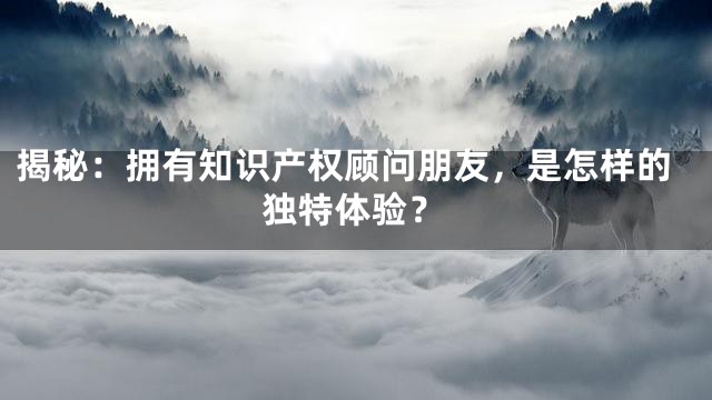 揭秘：拥有知识产权顾问朋友，是怎样的独特体验？