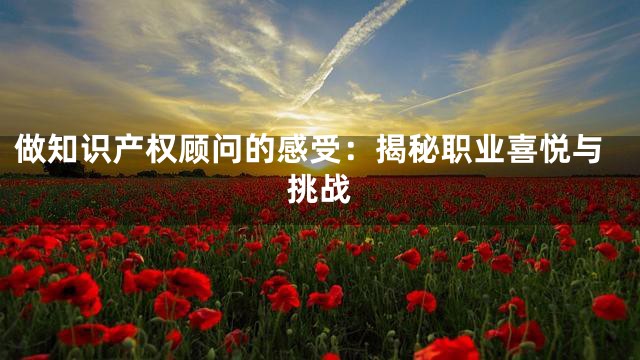 做知识产权顾问的感受：揭秘职业喜悦与挑战