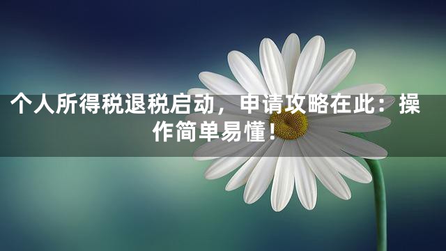 个人所得税退税启动，申请攻略在此：操作简单易懂！