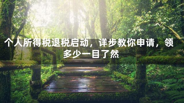 个人所得税退税启动，详步教你申请，领多少一目了然