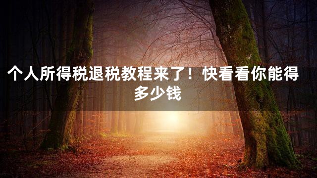 个人所得税退税教程来了！快看看你能得多少钱