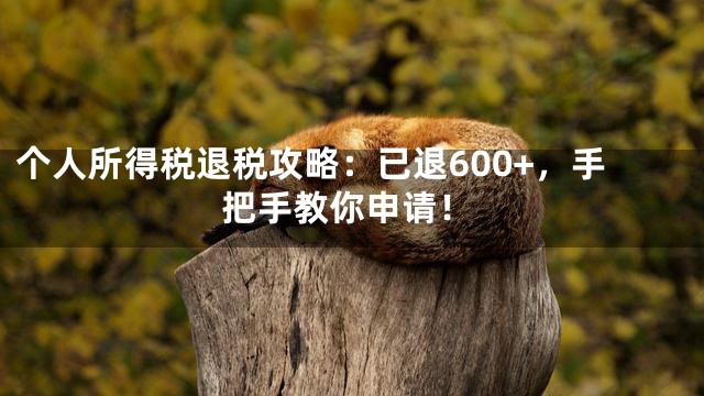 个人所得税退税攻略：已退600+，手把手教你申请！