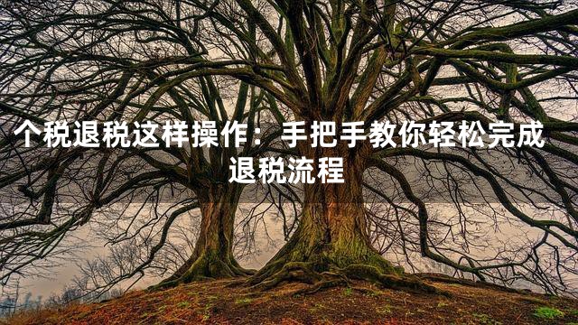 个税退税这样操作：手把手教你轻松完成退税流程