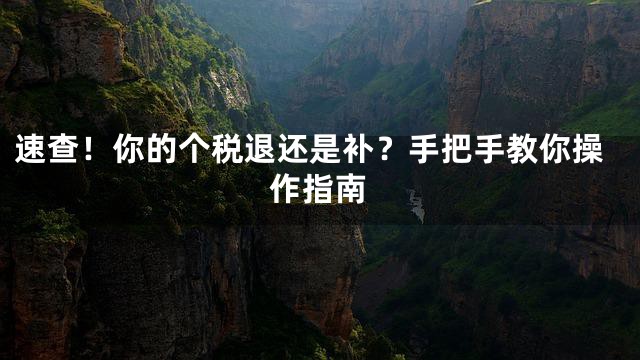 速查！你的个税退还是补？手把手教你操作指南