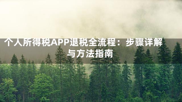 个人所得税APP退税全流程：步骤详解与方法指南