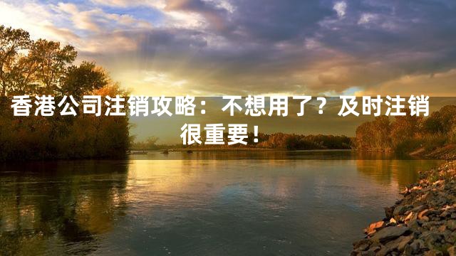 香港公司注销攻略：不想用了？及时注销很重要！