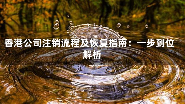 香港公司注销流程及恢复指南：一步到位解析