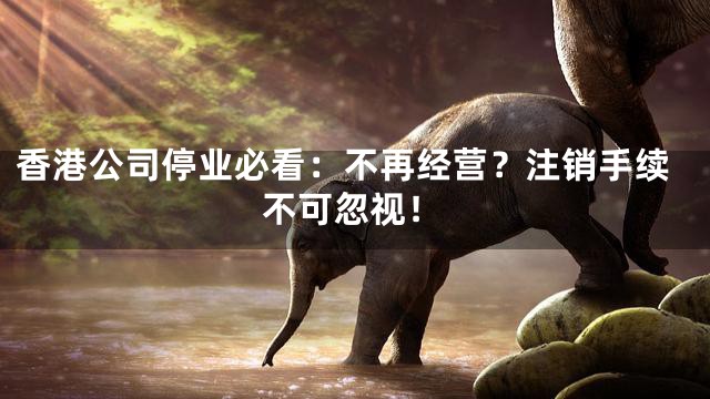 香港公司停业必看：不再经营？注销手续不可忽视！