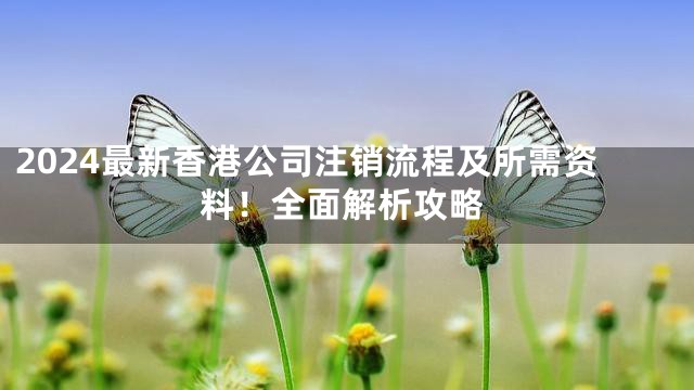 2024最新香港公司注销流程及所需资料！全面解析攻略