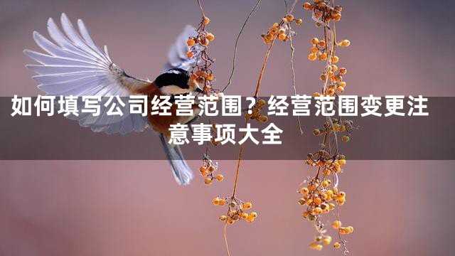 如何填写公司经营范围？经营范围变更注意事项大全