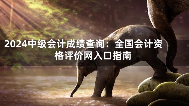 2024中级会计成绩查询：全国会计资格评价网入口指南