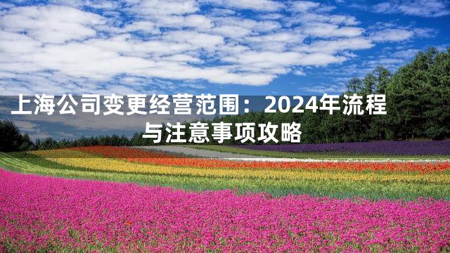 上海公司变更经营范围：2024年流程与注意事项攻略