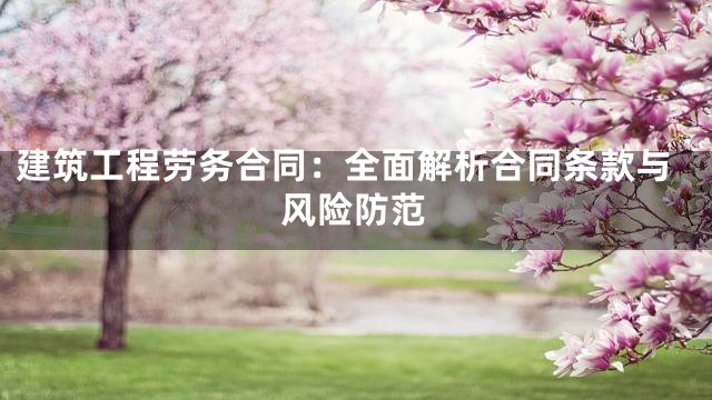 建筑工程劳务合同：全面解析合同条款与风险防范