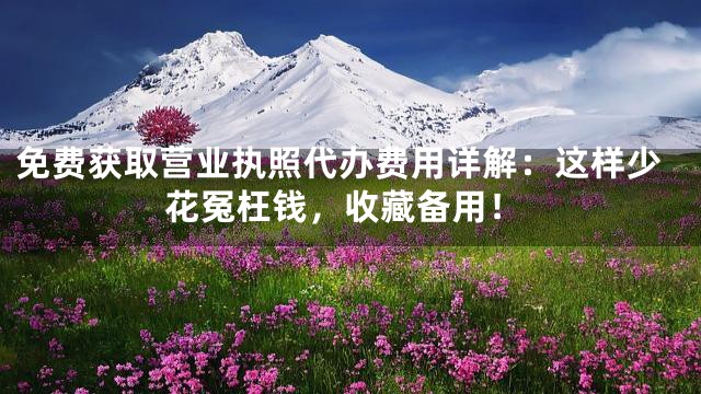 免费获取营业执照代办费用详解：这样少花冤枉钱，收藏备用！