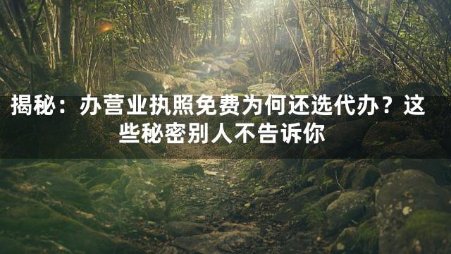 揭秘：办营业执照免费为何还选代办？这些秘密别人不告诉你