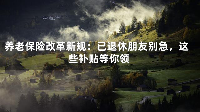 养老保险改革新规：已退休朋友别急，这些补贴等你领