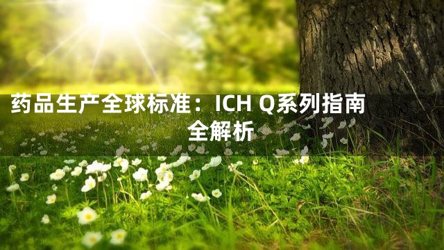 药品生产全球标准：ICH Q系列指南全解析