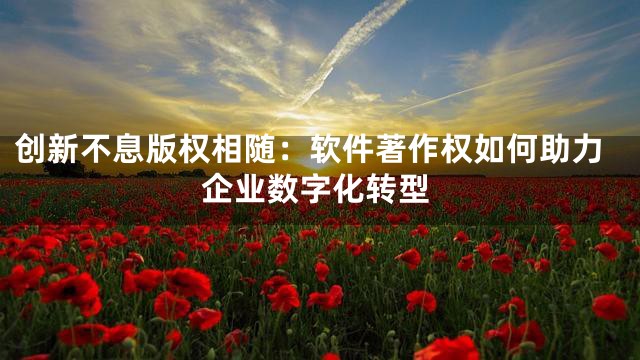 创新不息版权相随：软件著作权如何助力企业数字化转型