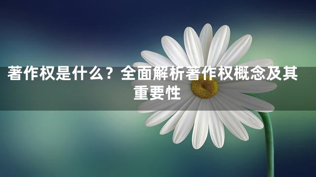 著作权是什么？全面解析著作权概念及其重要性