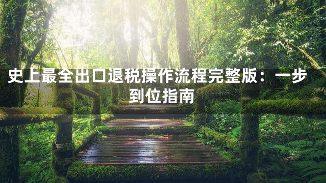 史上最全出口退税操作流程完整版：一步到位指南