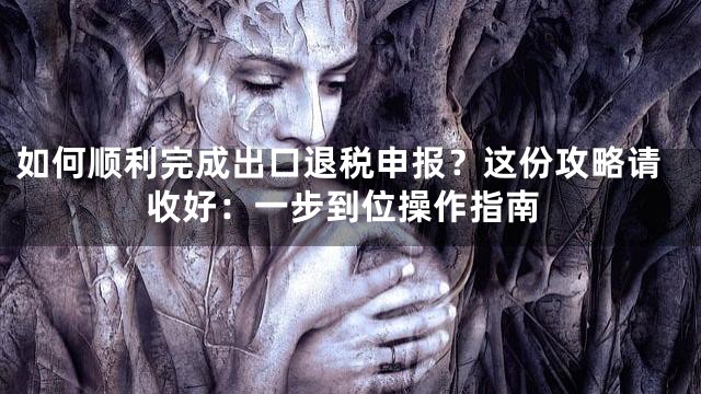 如何顺利完成出口退税申报？这份攻略请收好：一步到位操作指南